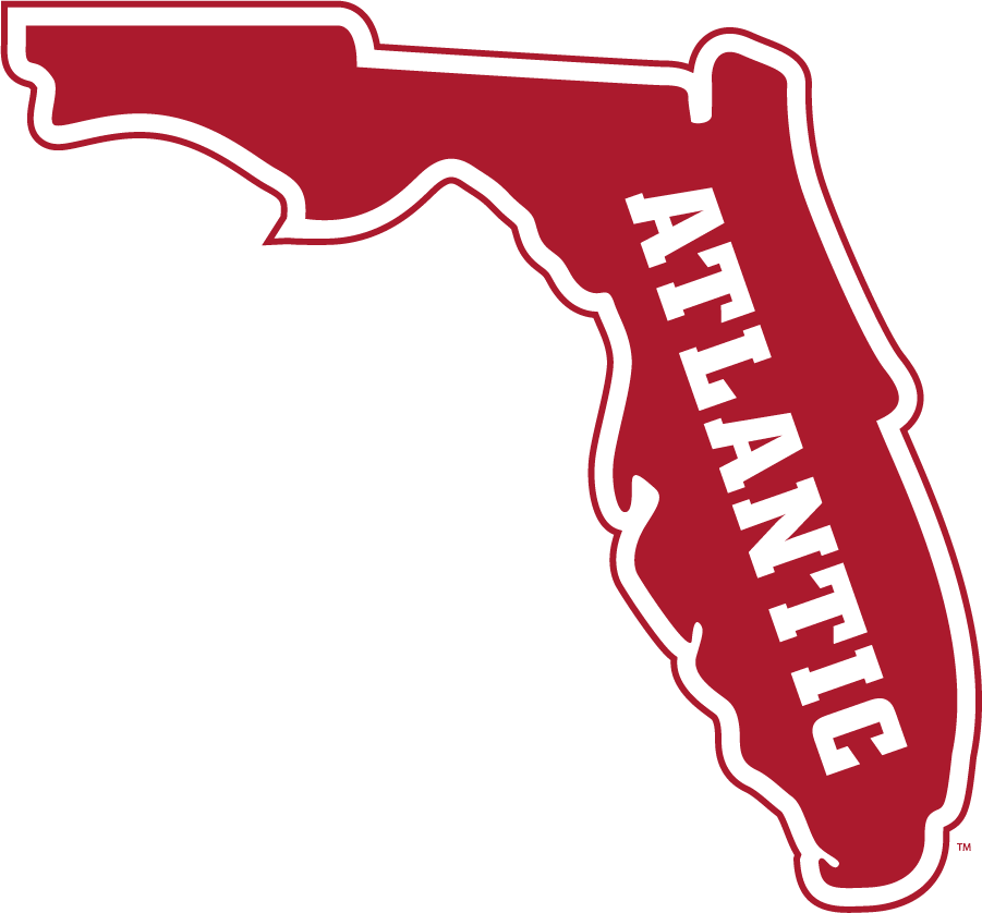 Florida Atlantic Owls 2015-Pres Secondary Logo v2 DIY iron on transfer (heat transfer)